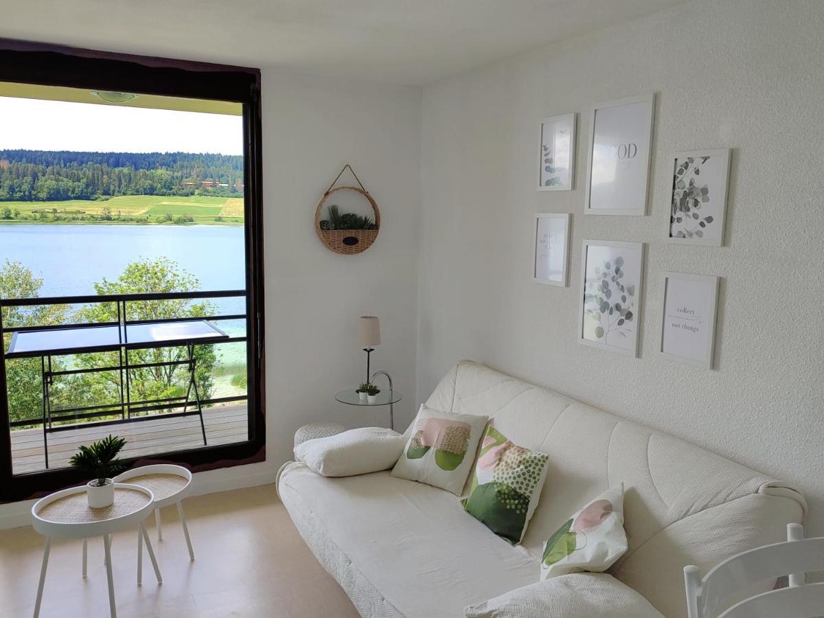 Duplex Le Reflet Du Lac Malbuisson Ngoại thất bức ảnh